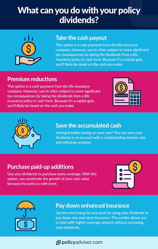 How to use dividends
