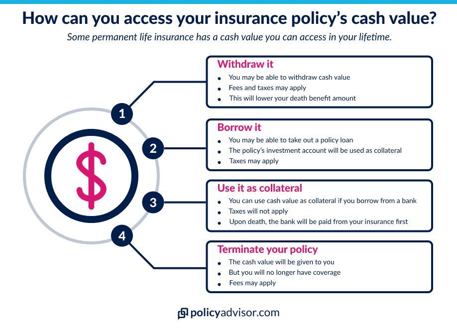 how to access insurance cash value