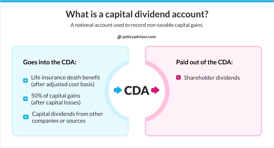 capital dividend account life insurance
