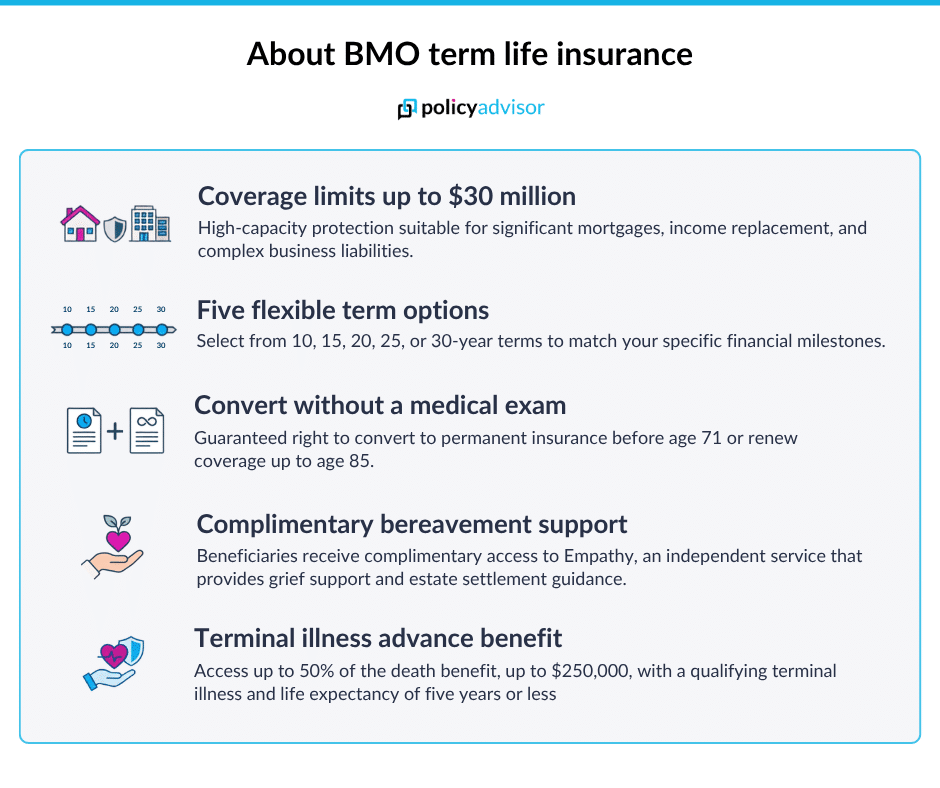 BMO term life insurance